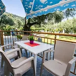 Thassos Κοίνυρα