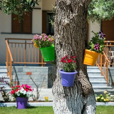 Appartement Thassos Koinira