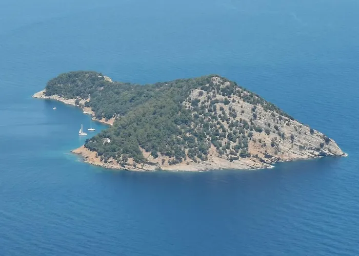 Thassos Διαμέρισμα Κοίνυρα