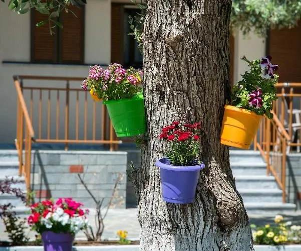 Διαμέρισμα Thassos Κοίνυρα